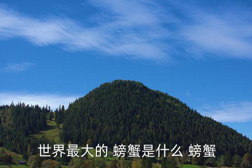 世界上最大的螃蟹,世界最大螃蟹巨型螃蟹養活一家五口一周