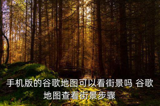 手機版的谷歌地圖可以看街景嗎 谷歌地圖查看街景步驟