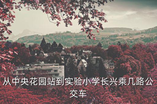 從中央花園站到實驗小學長興乘幾路公交車