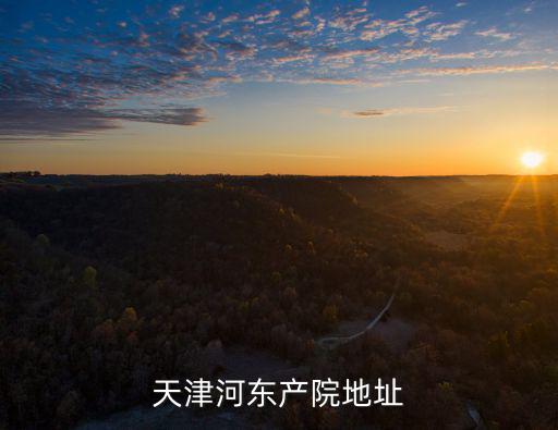 天津河東產院地址