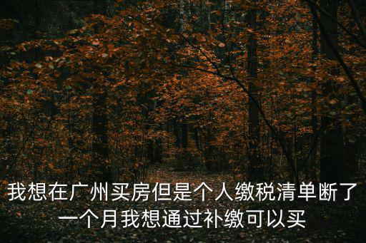 我想在廣州買房但是個人繳稅清單斷了一個月我想通過補繳可以買