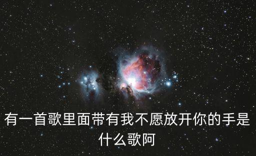有一首歌里面帶有我不愿放開你的手是什么歌阿