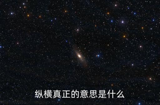 縱橫真正的意思是什么