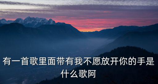 不愿放開你的手，不愿放開你的手是誰唱的
