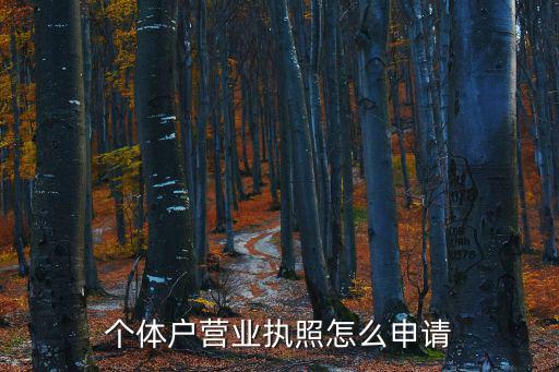 個體戶營業(yè)執(zhí)照怎么申請