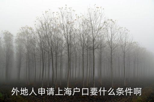 外地人申請上海戶口要什么條件啊