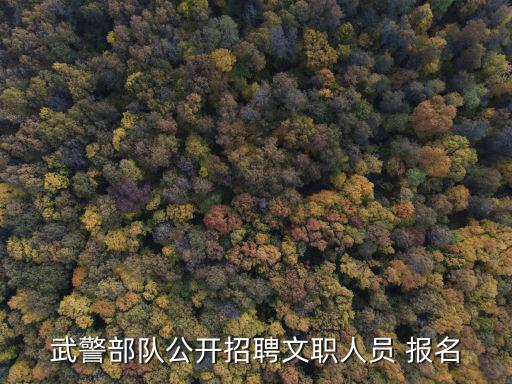 2022年部隊護理文職招聘，武警部隊公開招聘文職人員 報名