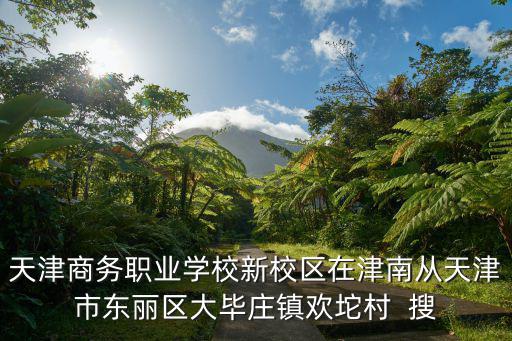 天津商務職業學校新校區在津南從天津市東麗區大畢莊鎮歡坨村  搜