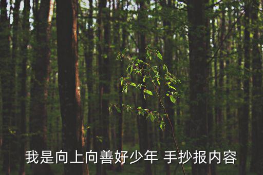 我是向上向善好少年 手抄報內容