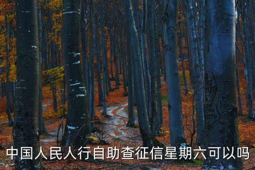 中國人民人行自助查征信星期六可以嗎
