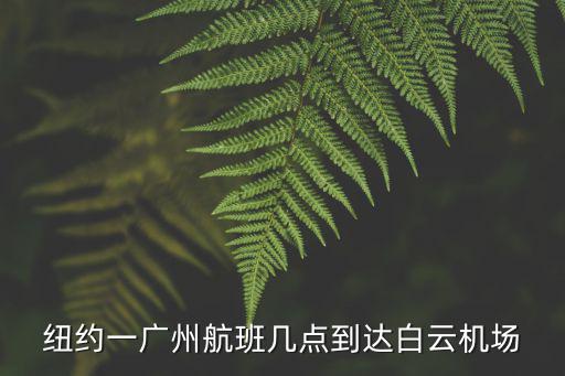 紐約一廣州航班幾點到達白云機場