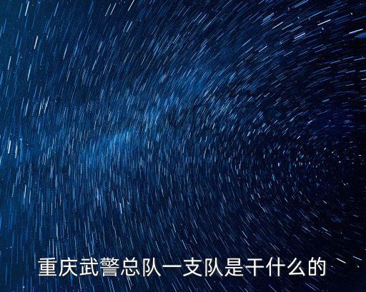 重慶武警總隊一支隊是干什么的