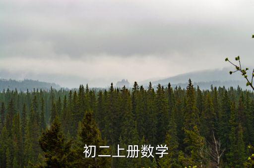 初二上學期數學，初2上冊數學題目