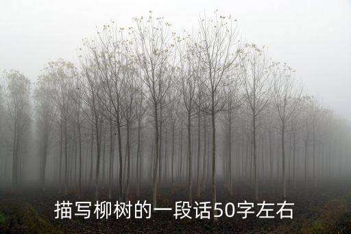 描寫柳樹的一段話50字左右