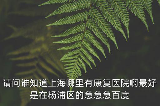 請問誰知道上海哪里有康復醫院啊最好是在楊浦區的急急急百度
