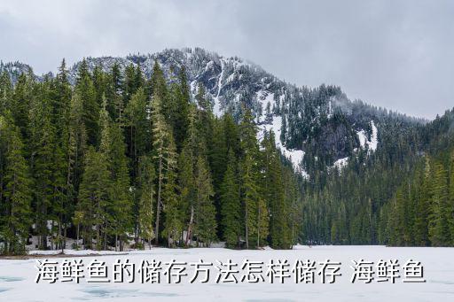 海鮮魚,冷凍鮮魚切成適合烹飪形狀裝入塑料袋中