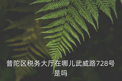 普陀區稅務大廳在哪兒武威路728號是嗎
