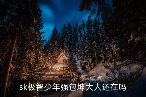 sk極智少年強包坤大人還在嗎