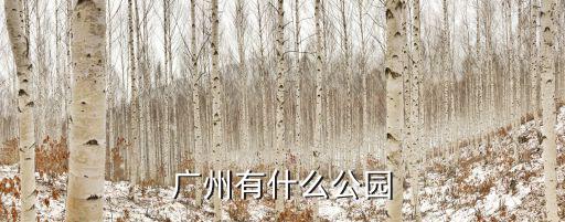 廣州有什么公園