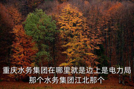 重慶水務集團在哪里就是邊上是電力局那個水務集團江北那個