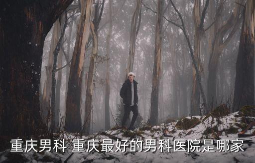 重慶市那個醫院男科最好，重慶男科 重慶最好的男科醫院是哪家