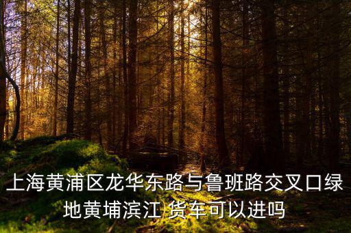 上海黃浦區龍華東路與魯班路交叉口綠地黃埔濱江 貨車可以進嗎