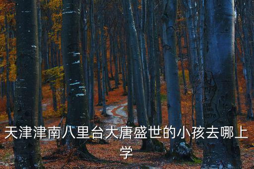 天津津南八里臺大唐盛世的小孩去哪上學