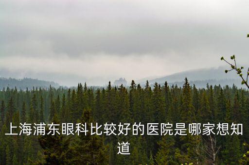 上海浦東眼科比較好的醫院是哪家想知道