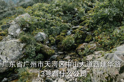 廣東省廣州市天河區中山大道西建華路13號有什么公司