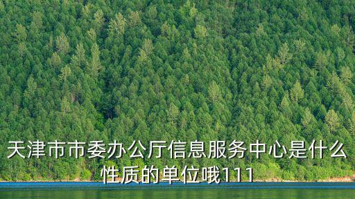 天津市政府委辦局設置，天津市市政府