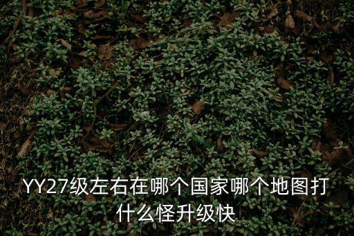 YY27級左右在哪個國家哪個地圖打什么怪升級快