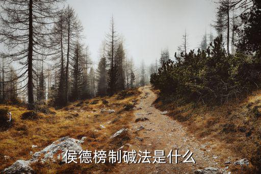 侯氏制堿法，侯氏制堿法是什么