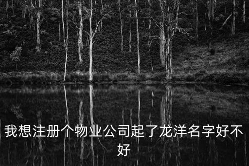 我想注冊個物業(yè)公司起了龍洋名字好不好