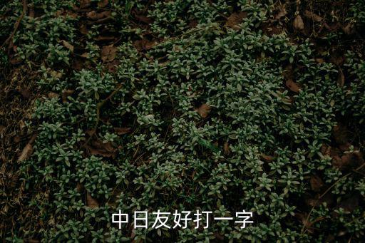 中日友好打一字