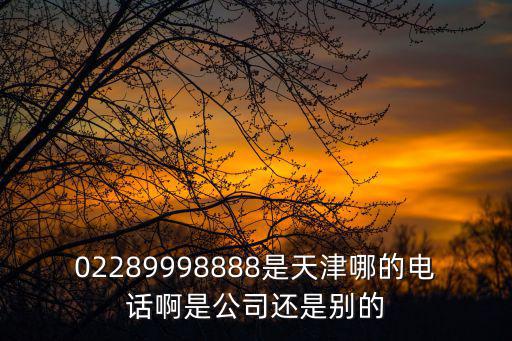 02289998888是天津哪的電話啊是公司還是別的