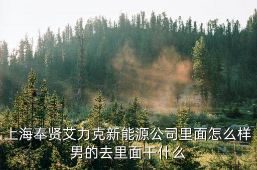 上海奉賢艾力克新能源公司里面怎么樣男的去里面干什么