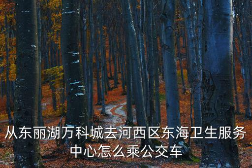 天津市東麗湖街道720公交車，東麗勞動局到東麗湖公交車怎么坐