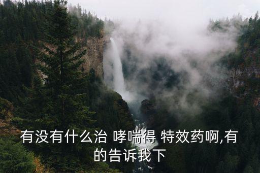 有沒有什么治 哮喘得 特效藥啊,有的告訴我下