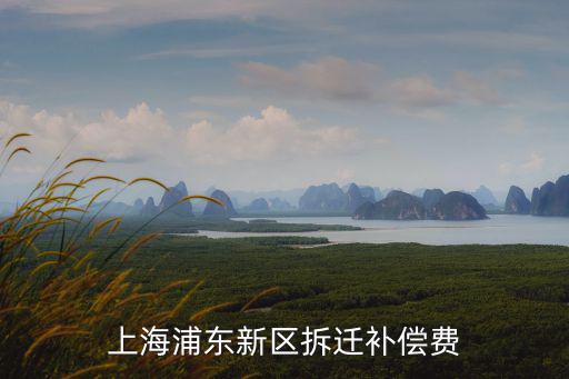 上海浦東新區(qū)拆遷補(bǔ)償費
