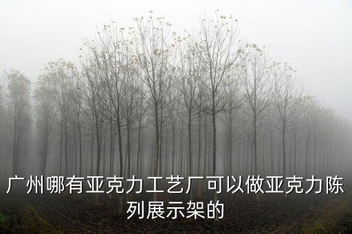 廣州哪有亞克力工藝廠可以做亞克力陳列展示架的