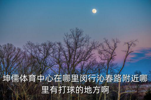 坤儒體育中心在哪里閔行沁春路附近哪里有打球的地方啊