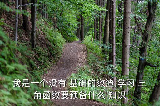 我是一個沒有 基礎的數渣,學習 三角函數要預備什么 知識