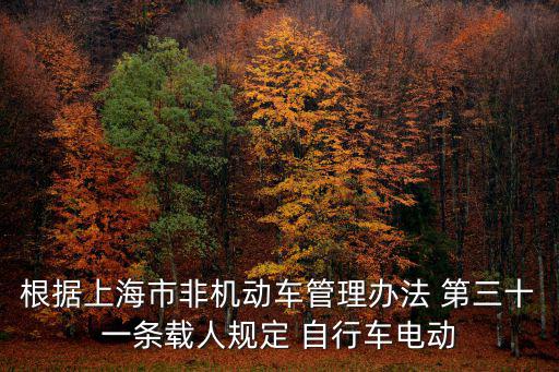 根據上海市非機動車管理辦法 第三十一條載人規定 自行車電動