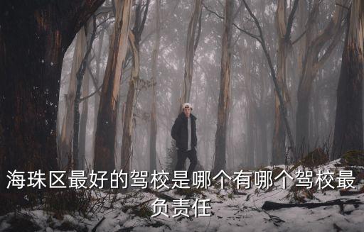 海珠區最好的駕校是哪個有哪個駕校最負責任