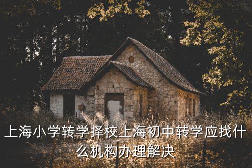 上海小學(xué)轉(zhuǎn)學(xué)擇校上海初中轉(zhuǎn)學(xué)應(yīng)找什么機(jī)構(gòu)辦理解決
