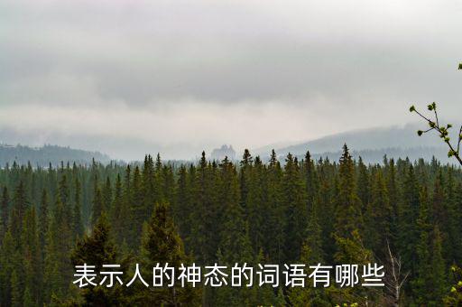 人物神態的詞語，表現人物神態的四字詞語