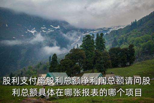 上海市化工類上市公司股利支付率，股利支付率如何計算呢