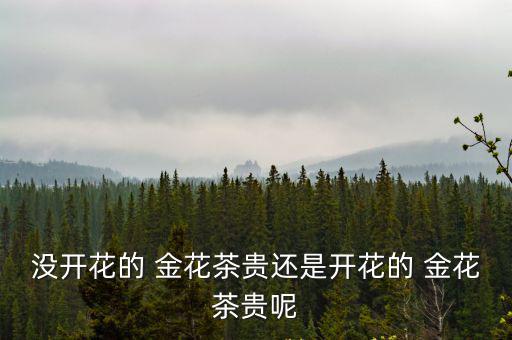 沒開花的 金花茶貴還是開花的 金花茶貴呢