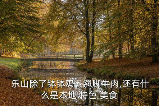  樂山除了缽缽雞、翹腳牛肉,還有什么是本地 特色 美食