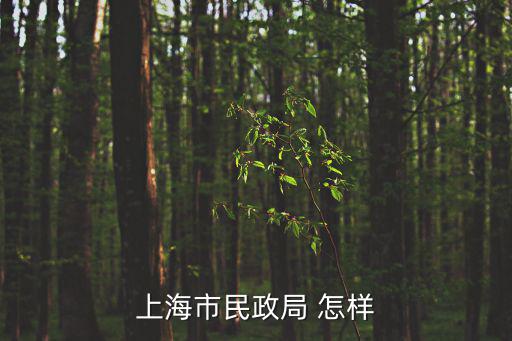 上海市民政局 怎樣